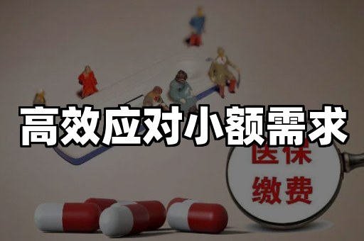 高效应对小额需求