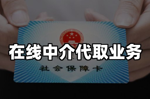 在线中介代取业务
