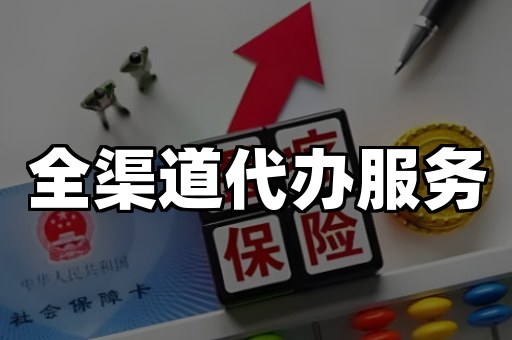 全渠道代办服务